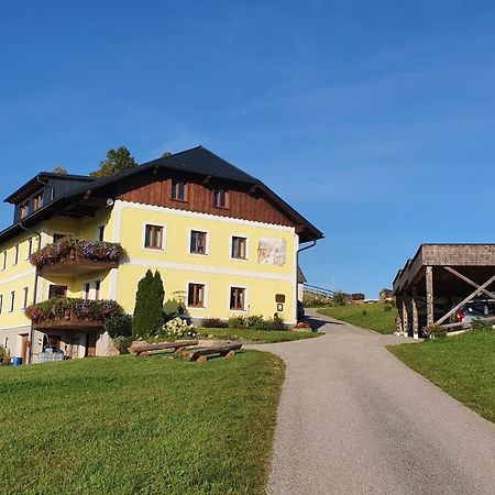 Апартаменты Mitterhirschberg, Familie Schweighuber Вайдхофен-ан-дер-Ибс Экстерьер фото