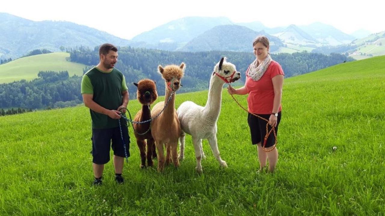 Апартаменты Mitterhirschberg, Familie Schweighuber Вайдхофен-ан-дер-Ибс Экстерьер фото